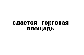 сдается  торговая площадь 